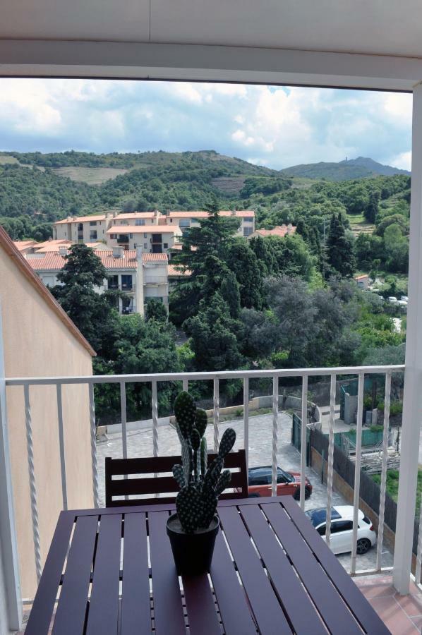 Ibanova Appartements Collioure Esterno foto