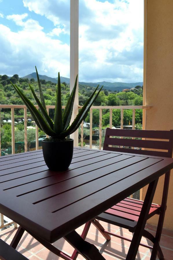 Ibanova Appartements Collioure Esterno foto